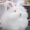 トムソンさんのプロフィール画像