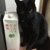 トーヤさんのプロフィール画像