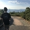pecoさんのプロフィール画像