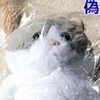 またさんのプロフィール画像