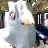 カナタさんのプロフィール画像