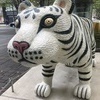 ジャスミンさんのプロフィール画像