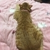 みにまむgoさんのプロフィール画像