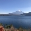かめっくすさんのプロフィール画像