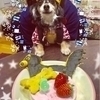 hirochi135さんのプロフィール画像