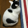 えいちゃんさんのプロフィール画像