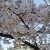かい
