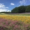 mpooh65さんのプロフィール画像