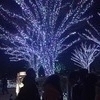 七実さんのプロフィール画像