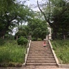のぶさんのプロフィール画像