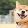 みこさんのプロフィール画像