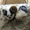hiroko♥さんのプロフィール画像