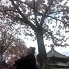 レイさんのプロフィール画像