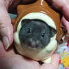 ゆうさんのプロフィール画像