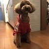 こたろさんのプロフィール画像