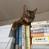 norinoriさんのプロフィール画像