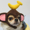 サチコさんのプロフィール画像