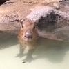 バルカンさんのプロフィール画像