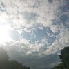 moonsさんのプロフィール画像