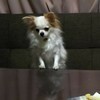 りょうちんさんのプロフィール画像