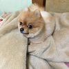 ヒロポンさんのプロフィール画像