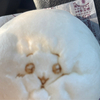 よしさんのプロフィール画像