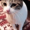 garamさんのプロフィール画像