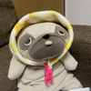 とおるさんのプロフィール画像