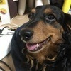 パス山さんのプロフィール画像