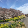 Akiraさんのプロフィール画像