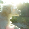 goodthingsさんのプロフィール画像