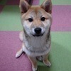 tenteさんのプロフィール画像