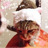 sizukuさんのプロフィール画像