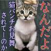 坊ちゃんさんのプロフィール画像