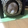 shunharuさんのプロフィール画像