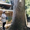 くまさんのプロフィール画像