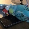 じゅりあさんのプロフィール画像