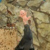 さばさんのプロフィール画像
