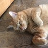 ひだりさんのプロフィール画像