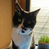 abcさんのプロフィール画像