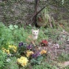 海猫さんのプロフィール画像