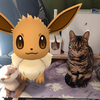 Quuさんのプロフィール画像
