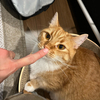 りっかさんのプロフィール画像