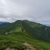 long-taileさんのプロフィール画像