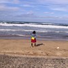 たねさんさんのプロフィール画像