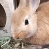 たらみさんのプロフィール画像