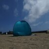 トイトイ丸さんのプロフィール画像