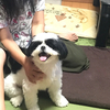 文也さんのプロフィール画像