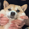 SATSUKIさんのプロフィール画像
