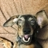 ぺー